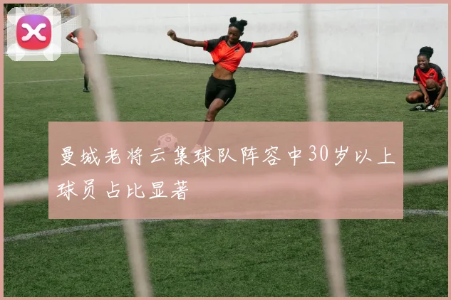 曼城老将云集球队阵容中30岁以上球员占比显著